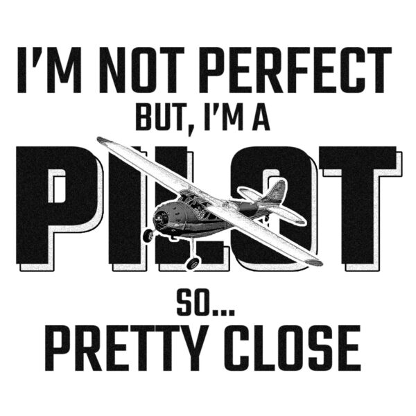 Perfect Pilot